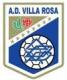 Escudo AD VILLA ROSA