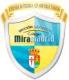  Escudo COLEGIO MIRAMADRID - PARACUELLOS B